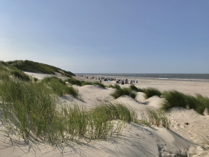 Wonnemonat Mai auf Spiekeroog