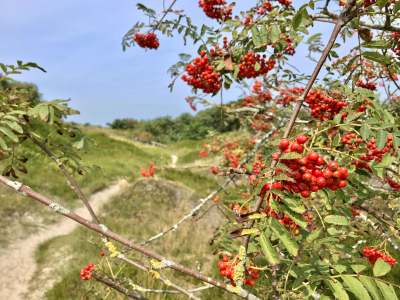 Herbst auf Spiekeroog