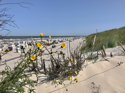 Ostern auf Spiekeroog für alle Generationen