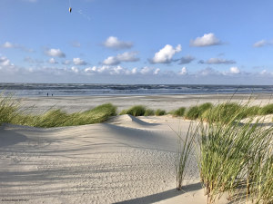 Wattenmeer / 265719